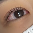 코멜리유 네이버블로그