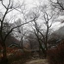 심우 이미지
