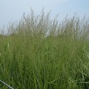 난지천공원 이미지