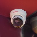 포텐코인싱어 이미지