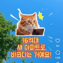 요즘 답없는 빌라 2030한테 떠넘기려고 하는듯 이미지