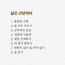 쏘롱이네 Daum카페