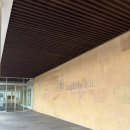 풍호길 | [강원도 강릉] 메이플비치CC 3월초 라운딩 후기 (그린피 특가, 코스 상태)