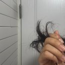 올리브영 헤어트리트먼트 추천, 아도르 퍼퓸 헤어 트리트먼트 엔젤뮤게 후기