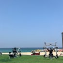 바다짐 | 강릉 사근진 오션짐(GYM) 후기｜헬스장 맞아..? 바다뷰