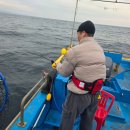 광어랑우럭이랑 | 강릉배낚시 광어랑 우럭 손맛 본 후기