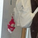 나포리모텔 | 젤라또 3호점 | 주문진 오징어순대 | 과메기 구이 | 주문진 대영유통 내 돈 내산 | + 춘천,가평 여행 후기