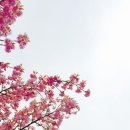 동해 구상수시설 이미지