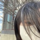 (주)더아름 이미지