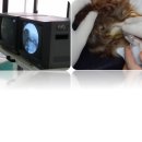 24시 청주이음동물의료센터 이미지