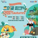 피크닉 이미지