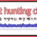 하도리님과함께 이미지