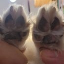 개순이 살롱 이미지