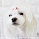 데이린