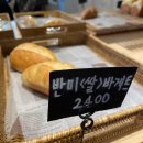 하이단양하이디