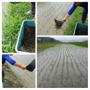 복자농장 이미지