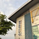 문수실내수영장 | 울산 문수실내수영장 하이다이빙 수업 후기｜첫 도전 짜릿한 체험기