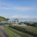 거제하우스 이미지