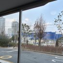 이케아 횡단보도 이미지