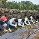 창천초등학교 이미지