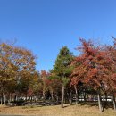 씨유 죽변 한수원사택점 | 한수원 한울원자력본부 인턴 - 주(住)