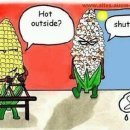 라디오아이즈 이미지