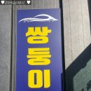 쌍둥이모터스 이미지