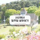 서산에서 일주일 살아보기 선정 및 5박 6일 일정 공유
