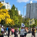 지(G)크루골프 아카데미 | 2025 JTBC 마라톤 첫 풀코스를 완주한 나의 42.195KM 후기 : (부제) 나도 이제 마라토너다!