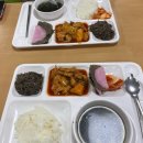 짬 이미지