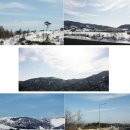 주문진 수산 이미지