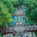 영암기찬랜드 이미지