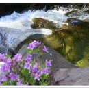 계곡이 있는 풍경 이미지