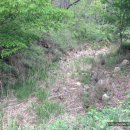 법동천 티스토리