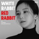 화이트래빗 이미지