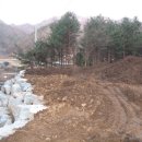 다모아민박 이미지