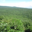 서귀포자연휴양림2 이미지