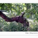 부원농장 이미지