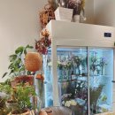 퐁텐카페 이미지