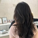 (주)웨이즈디자인 | 울산 남구 미용실 레이어드펌 잘하는 웨이즈헤어 삼산1호점