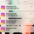 살구나무 비행기