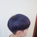 에리카헤어 이미지