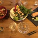 재키애견 이미지