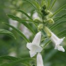 지성농장 이미지