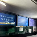 애견동반 제주도 여행 1일차 제주레일바이크편🛤️