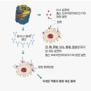 비오메드요양병원 이미지