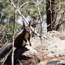 고산골 4 이미지