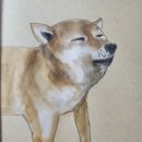 힐링수채화 & 펜드로잉 이미지