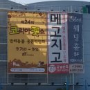 주식회사 밸리스 | 제24회 코리아펫쇼 참여후기(마산에서 서울까지)