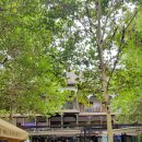 반달여인숙 이미지